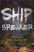 Book Cover Art